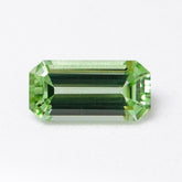 Octagonal Peridot (2.63 cts)
